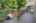 Blurred preview of media: 24
