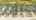 Blurred preview of media: DJI_0530