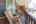 Blurred preview of media: 2002 Ingledale Rd-68