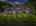 Blurred preview of media: A Image Apr 28, 2026 at 11_41_17 AM