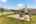 Blurred preview of media: 75644 Bridgewater Dr-62