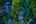 Blurred preview of media: 4Sept0016
