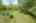 Blurred preview of media: 592 Sugar Road Bolton Massachusetts Job 38874 0079