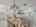 Blurred preview of media: Daytime56