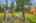 Blurred preview of media: NZ9_9533