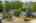 Blurred preview of media: Aerial 02