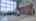 Blurred preview of media: IMG_8758