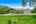 Blurred preview of media: 963N1950Rd-Sample2-02