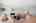 Blurred preview of media: DSC07303