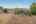 Blurred preview of media: DSC01853