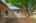Blurred preview of media: 03