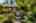 Blurred preview of media: 1-7