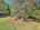 Blurred preview of media: Sky Tour-15