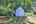Blurred preview of media: IMG_1756_7_8_easyHDR