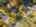 Blurred preview of media: 088