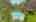 Blurred preview of media: IMG_1209
