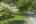 Blurred preview of media: IMG_1197.1