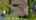 Blurred preview of media: DJI_0641