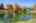 Blurred preview of media: IMG_1326