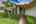 Blurred preview of media: iPixx_00_6