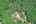 Blurred preview of media: DJI_0160_1_2_easyHDR
