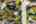 Blurred preview of media: 20250908L_lg_JW0082