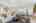 Blurred preview of media: 495 S Dayton St #10A 00012