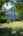 Blurred preview of media: 828 Exteriors-114
