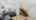 Blurred preview of media: hf_20260506_140541_99708ba6-6622-4b79-bf23-898ac70e1f7c