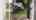 Blurred preview of media: DJI_20260415100748_0008_D-Edit