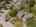 Blurred preview of media: DJI_20250902133332_0026_D