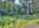 Blurred preview of media: DJI_20260829151245_0327_D_8_D_9_D_easyHDR