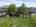 Blurred preview of media: Hamilton-52