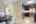 Blurred preview of media: IMG_0381