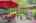 Blurred preview of media: IMG_9697