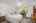 Blurred preview of media: 1-18