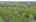 Blurred preview of media: DJI_0612