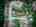 Blurred preview of media: 74 Joshua Street web-41