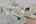 Blurred preview of media: CB108293