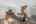 Blurred preview of media: 74 Joshua Street web-11