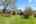 Blurred preview of media: DSC_5103