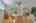 Blurred preview of media: 260190-6
