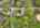 Blurred preview of media: 421-glenridge-road-highland-lakes-nj-usa-drone-005