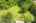 Blurred preview of media: DJI_0337
