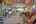 Blurred preview of media: IMG_8554_5_6