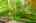Blurred preview of media: 64 Ravina Cres, Ancaster _ Nathan Ferro147