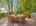 Blurred preview of media: Image Sep 13, 2026 at 04_28_08 PM