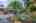 Blurred preview of media: 1-33