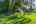 Blurred preview of media: 00_Ipixx_3