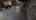 Blurred preview of media: 4-La-Jolla-Ln-02232022_202324